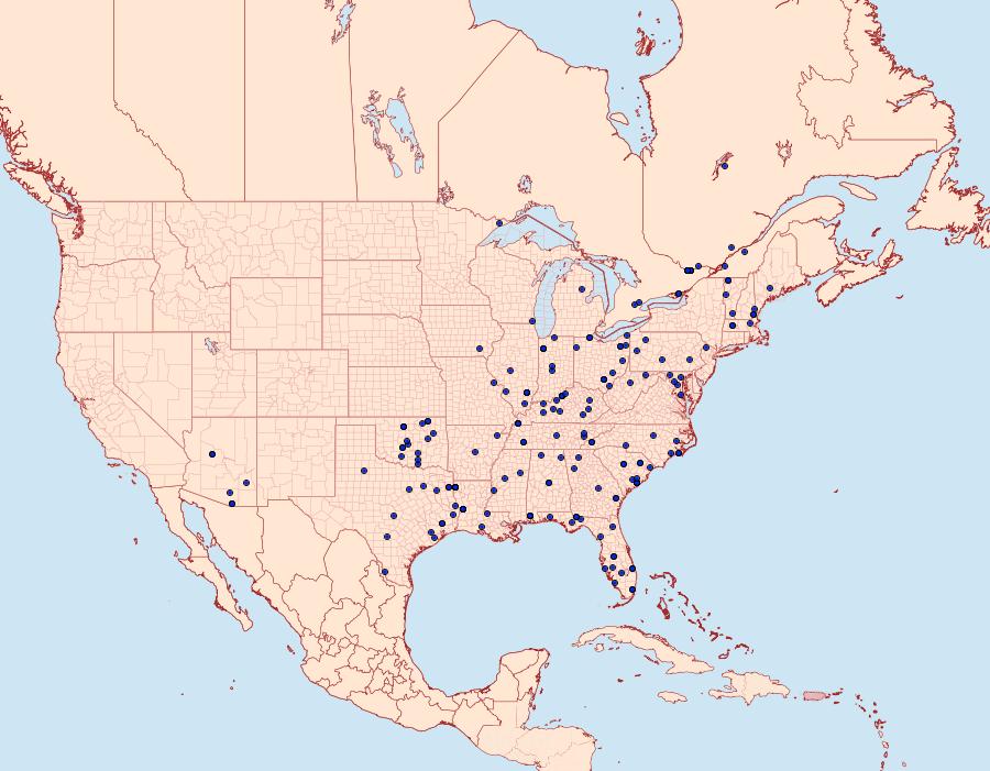 Distribution Data for Colobochyla interpuncta