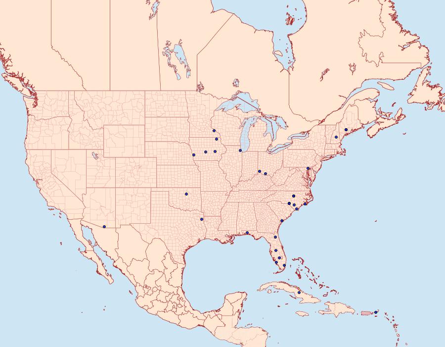 Distribution Data for Porphyrosela desmodiella