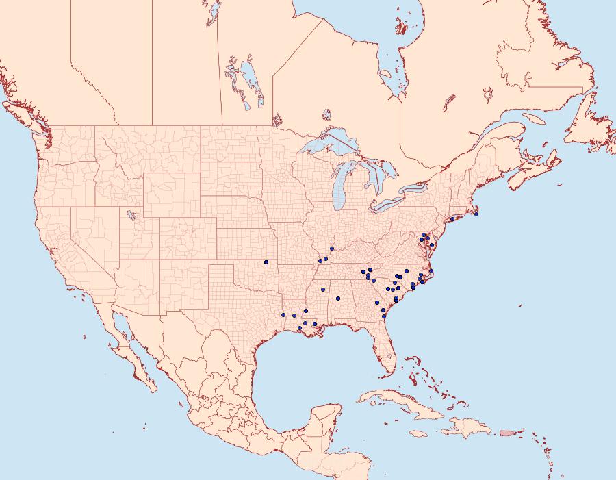 Distribution Data for Hypenopsis calusa