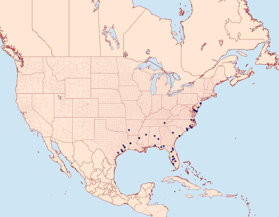 Distribution Data for Abablemma brimleyana