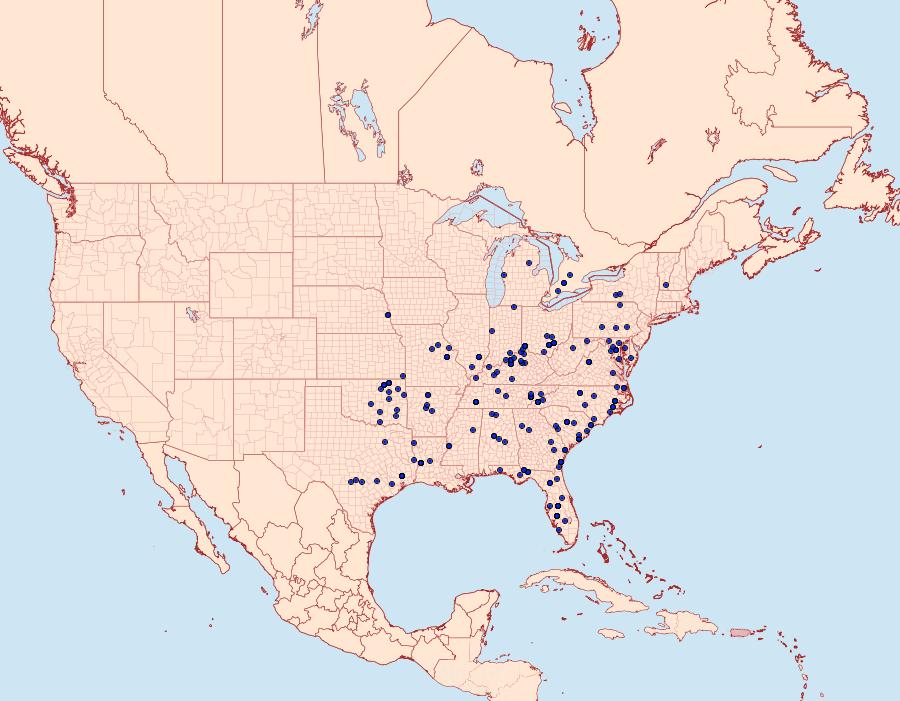 Distribution Data for Nigetia formosalis