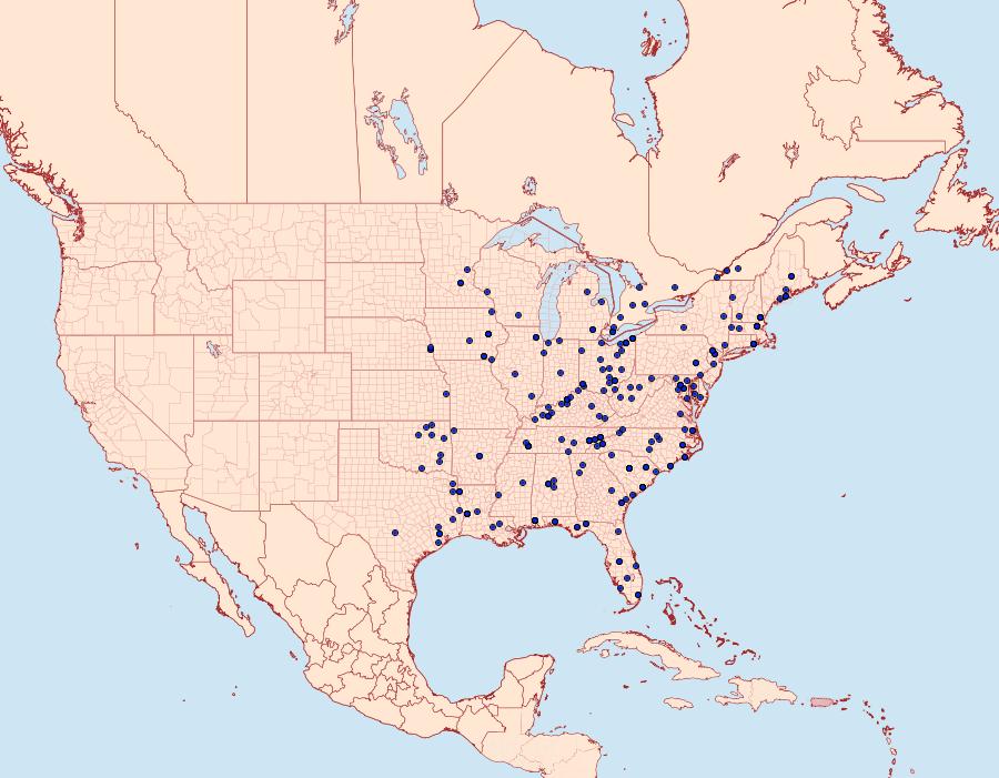 Distribution Data for Hypena manalis