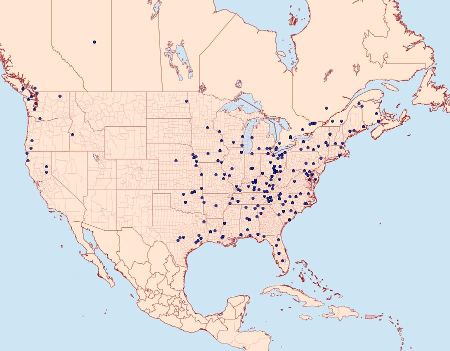 Distribution Data for Hypena bijugalis