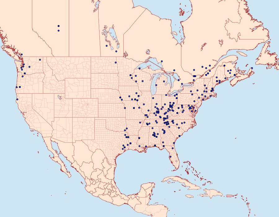 Distribution Data for Hypena palparia