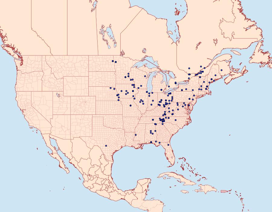 Distribution Data for Hypena deceptalis