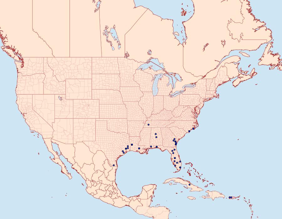 Distribution Data for Hypena degesalis