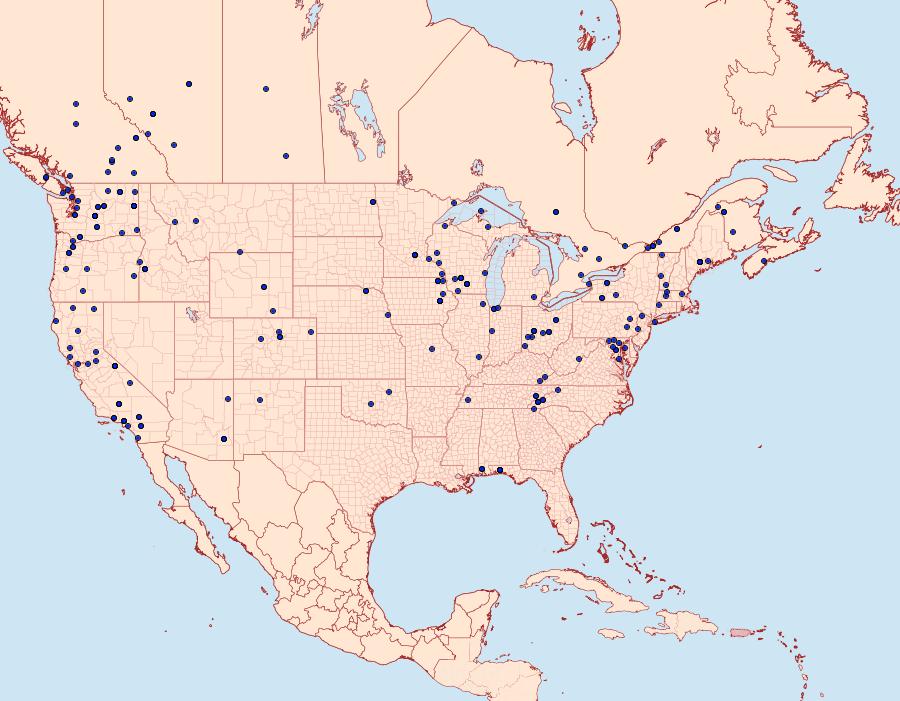 Distribution Data for Hypena humuli