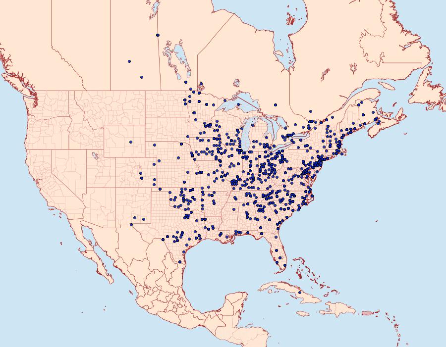 Distribution Data for Hypena scabra