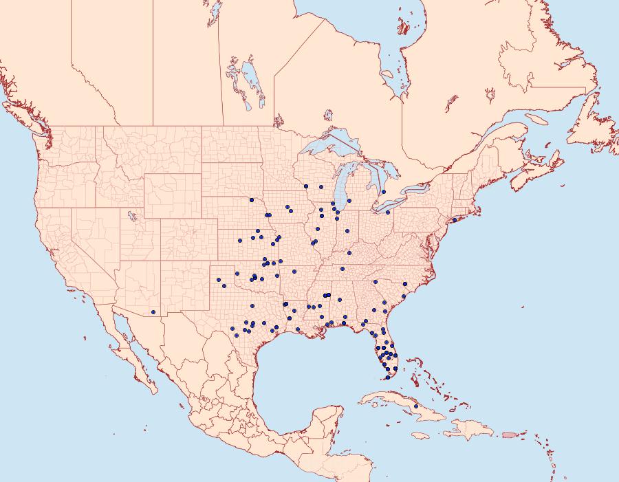 Distribution Data for Phytometra ernestinana