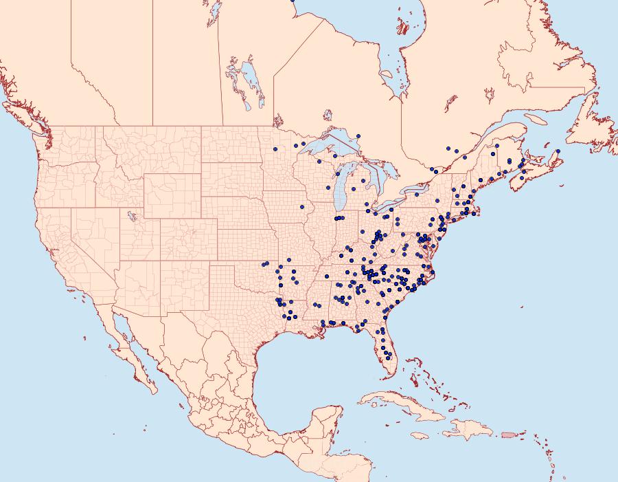 Distribution Data for Pangrapta decoralis