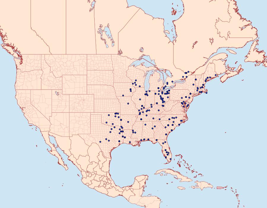 Distribution Data for Ledaea perditalis