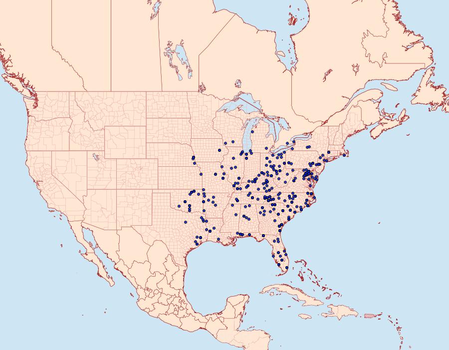 Distribution Data for Scolecocampa liburna