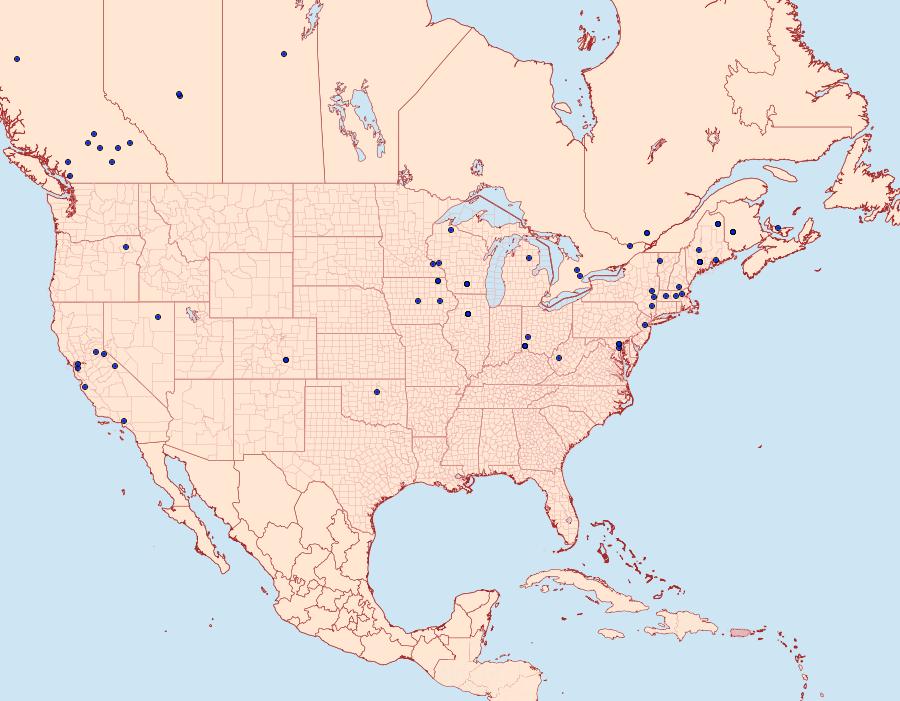 Distribution Data for Phyllocnistis populiella