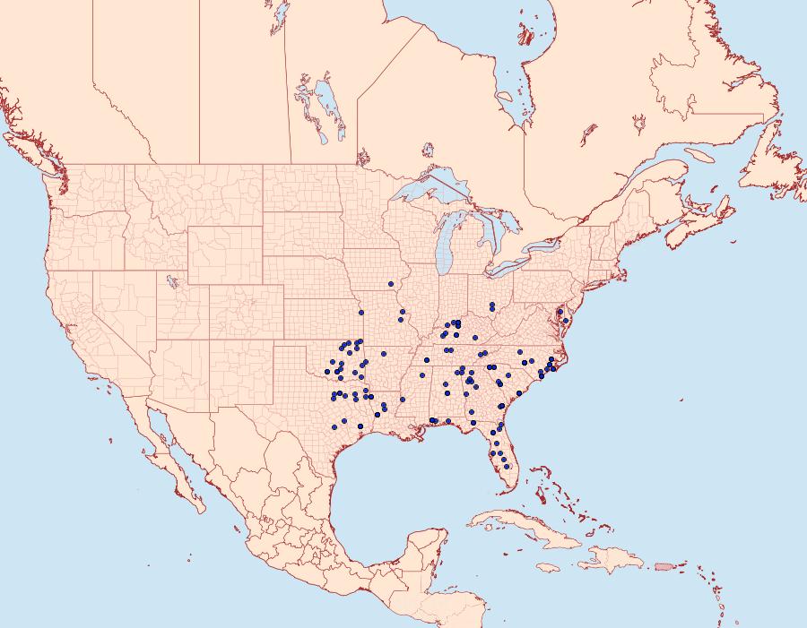 Distribution Data for Hypsoropha monilis