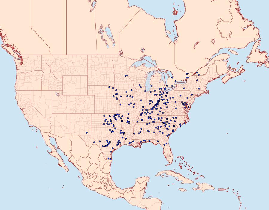 Distribution Data for Plusiodonta compressipalpis