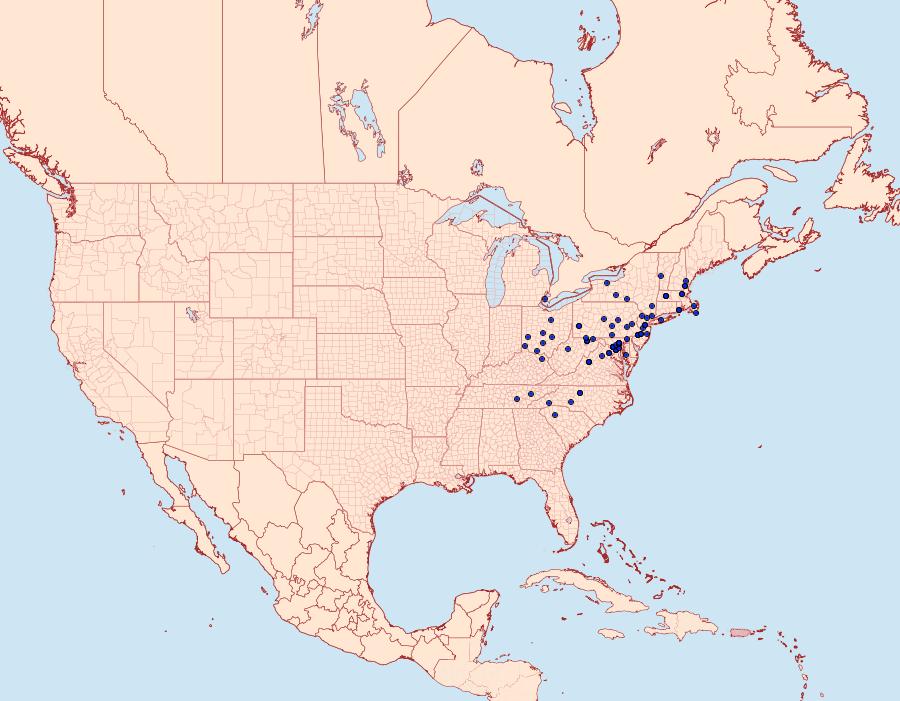 Distribution Data for Rusicada privata