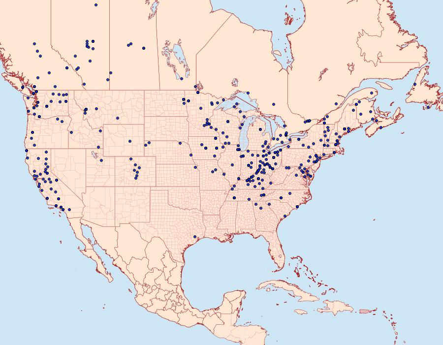 Distribution Data for Scoliopteryx libatrix