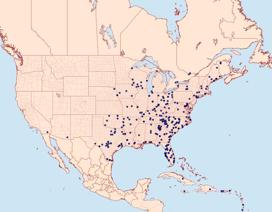 Distribution Data for Anticarsia gemmatalis