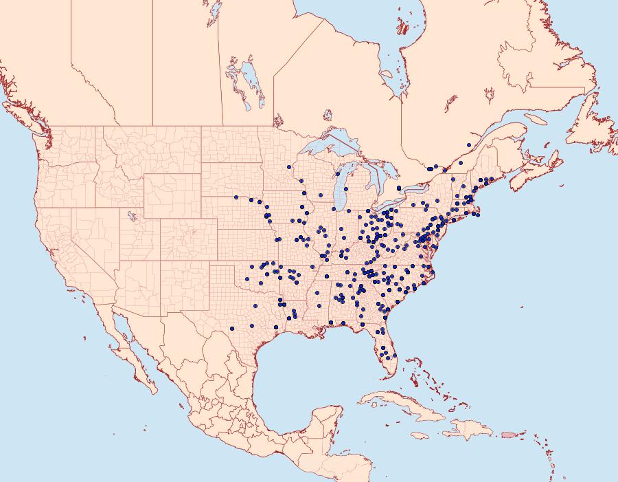 Distribution Data for Panopoda rufimargo