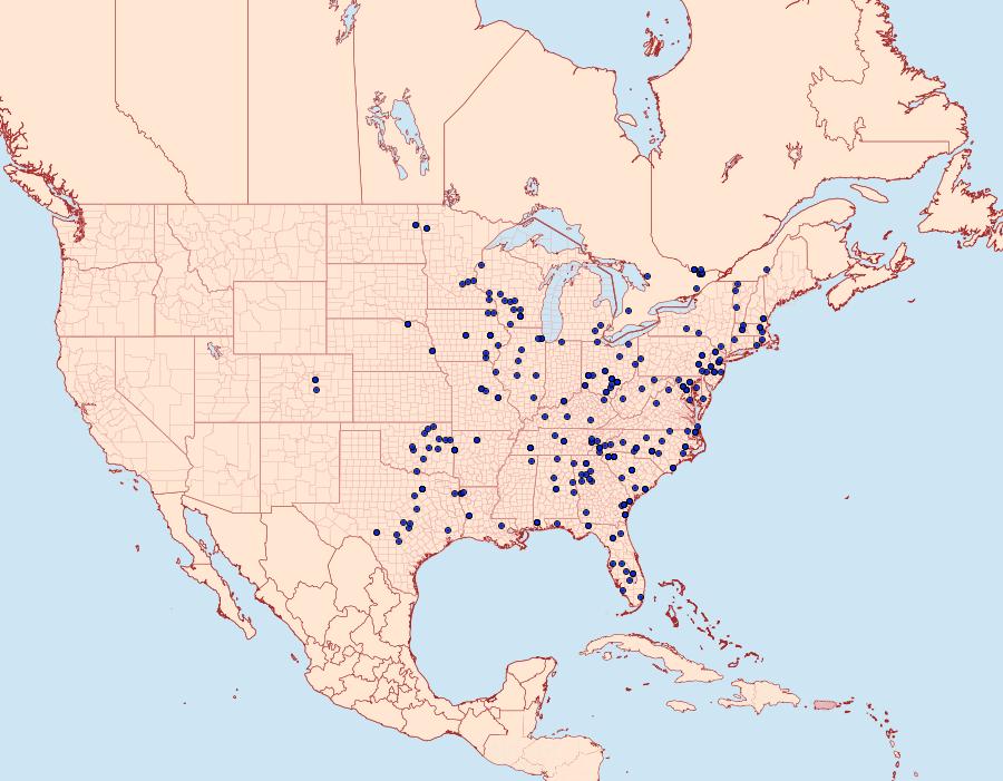 Distribution Data for Phoberia atomaris