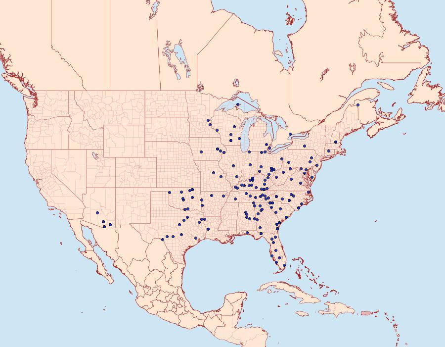 Distribution Data for Cissusa spadix