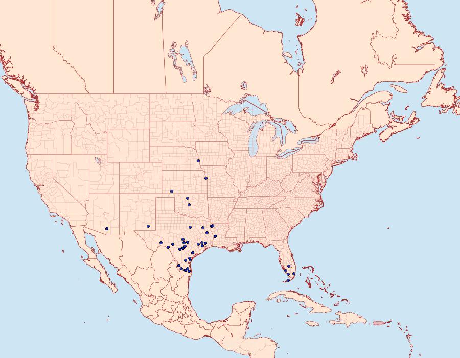 Distribution Data for Melipotis cellaris