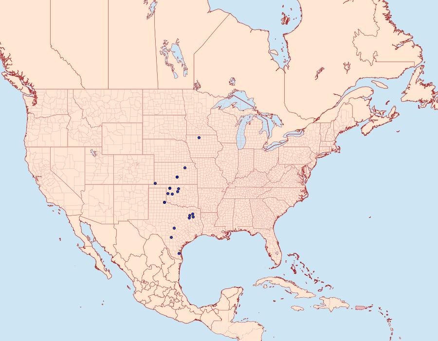 Distribution Data for Drasteria ingeniculata