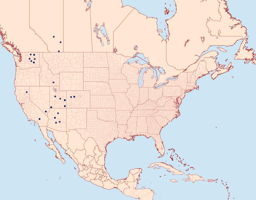 Distribution Data for Drasteria perplexa