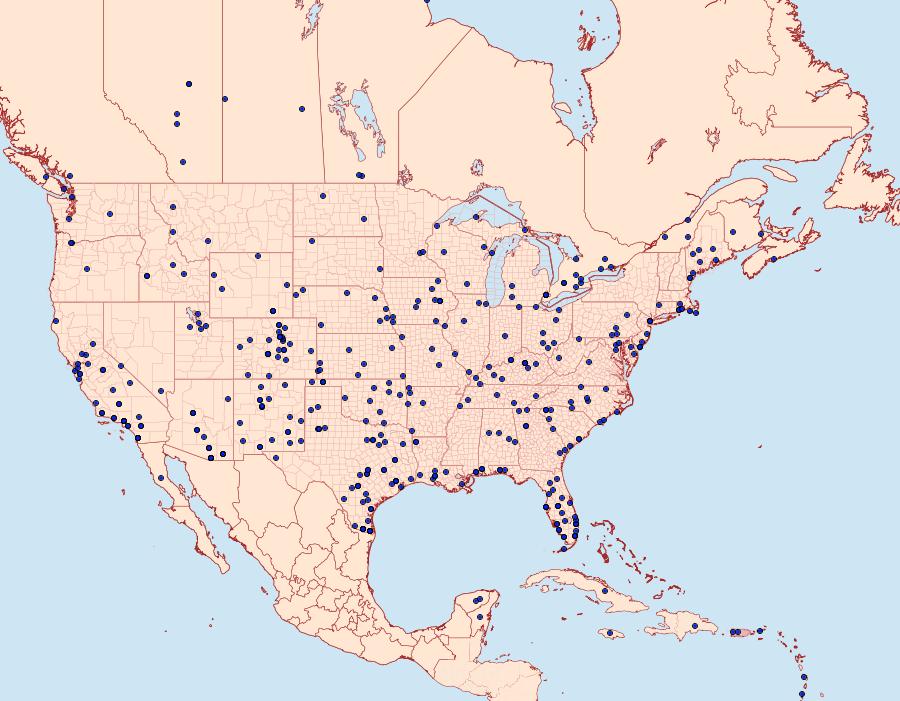 Distribution Data for Ascalapha odorata