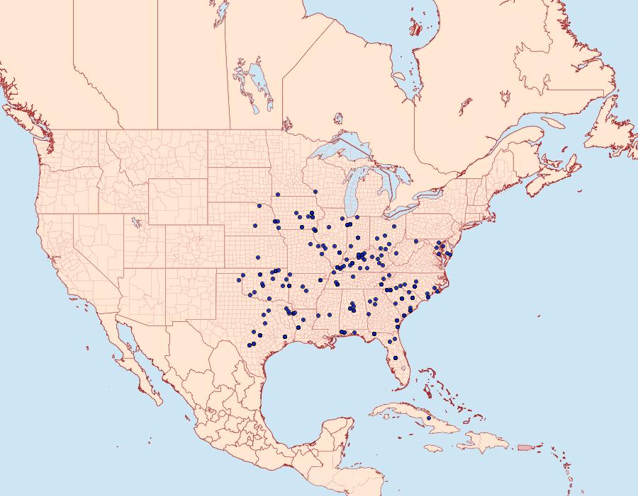 Distribution Data for Lesmone detrahens