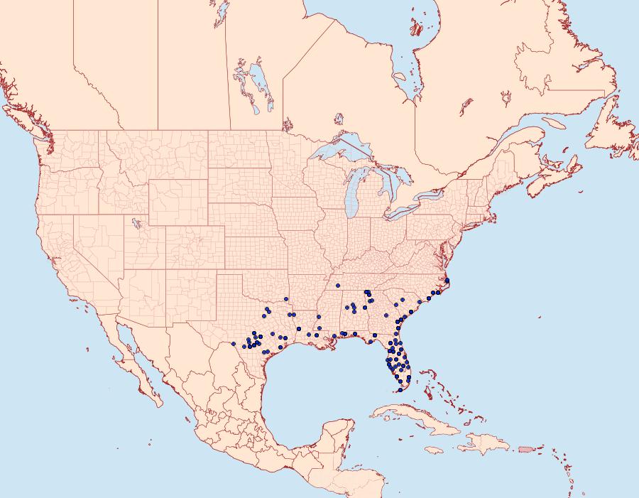 Distribution Data for Metria amella