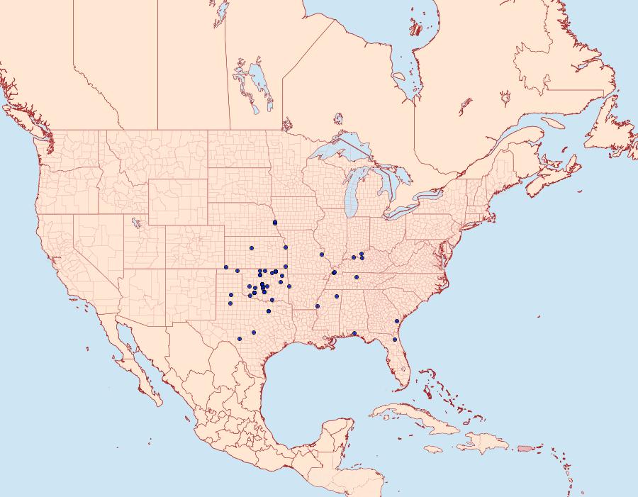 Distribution Data for Matigramma pulverilinea