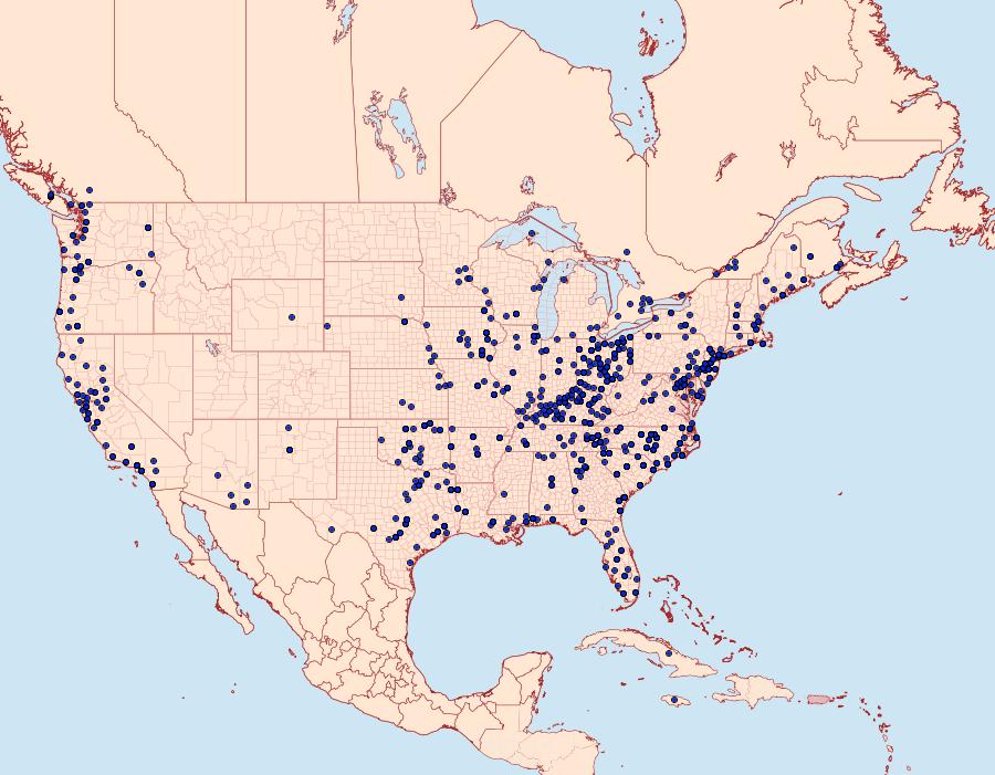 Distribution Data for Zale lunata