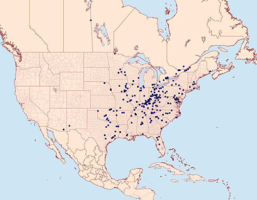 Distribution Data for Zale galbanata