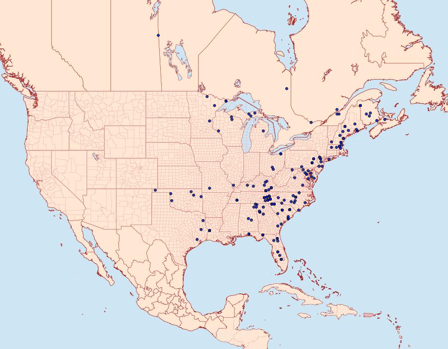 Distribution Data for Zale aeruginosa