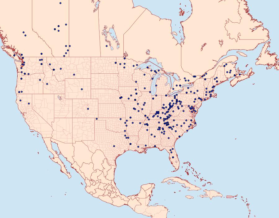 Distribution Data for Zale minerea