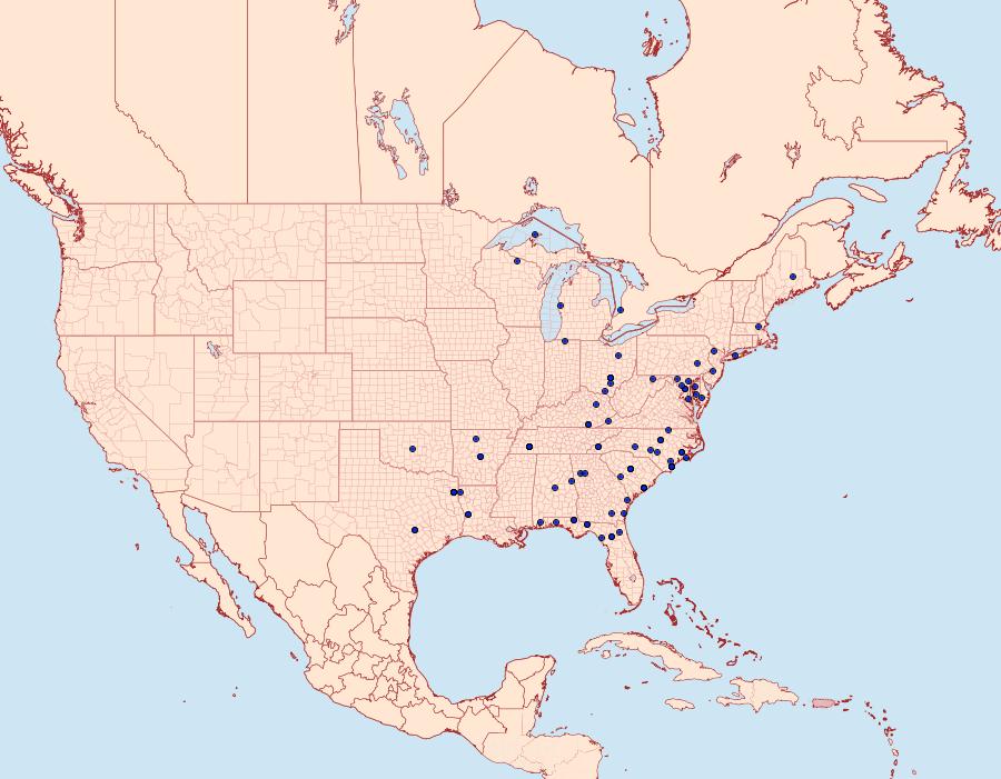 Distribution Data for Zale obliqua