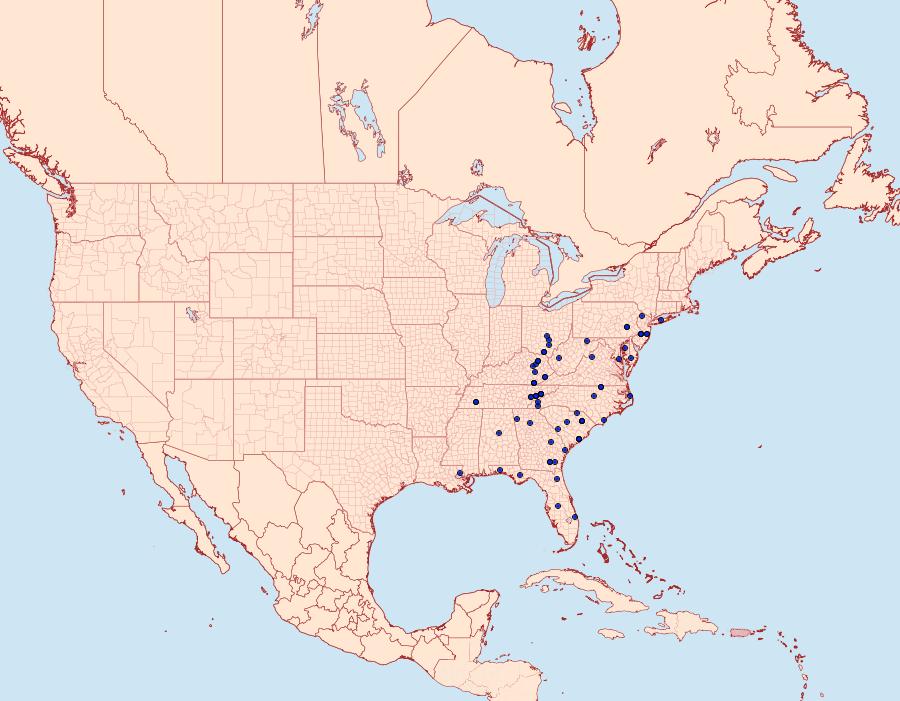 Distribution Data for Zale squamularis