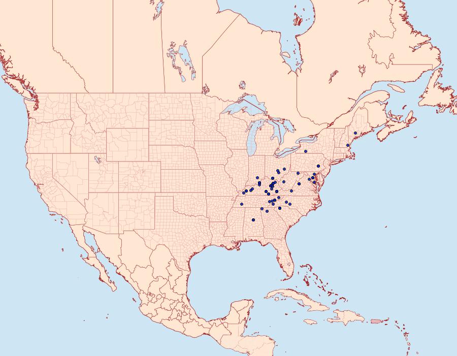 Distribution Data for Zale bethunei