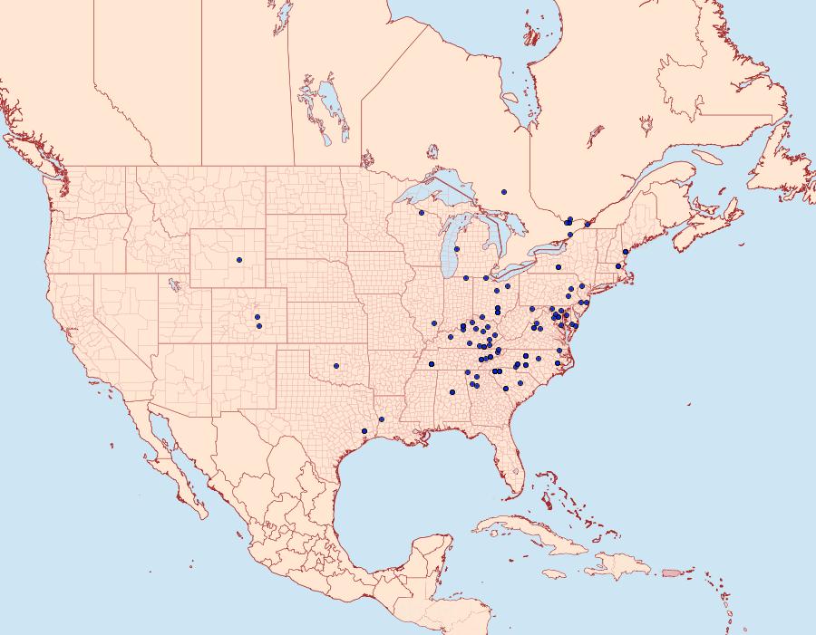 Distribution Data for Zale metatoides