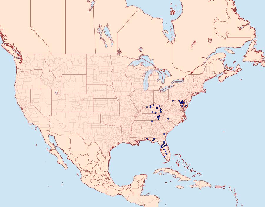 Distribution Data for Zale metata