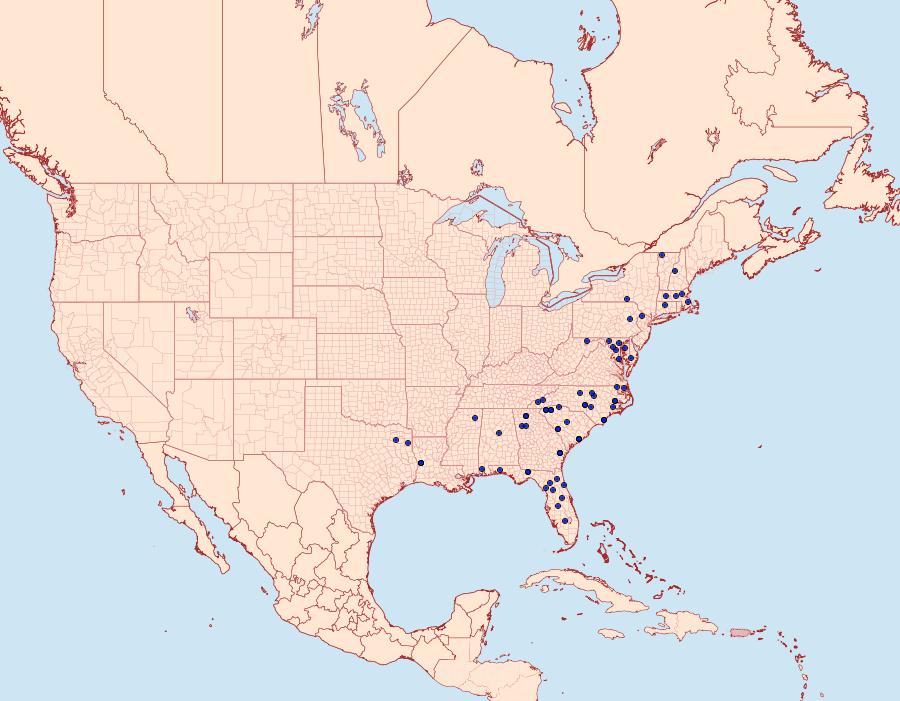 Distribution Data for Zale lunifera