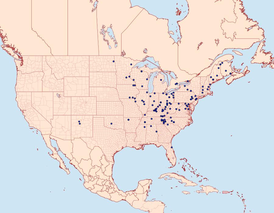 Distribution Data for Zale unilineata