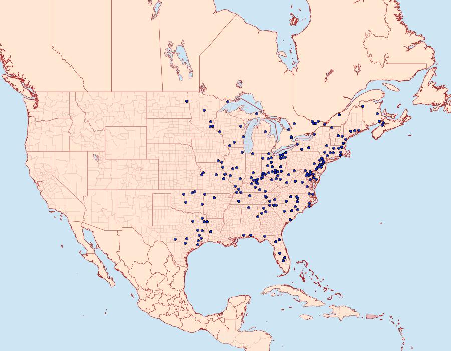 Distribution Data for Zale horrida