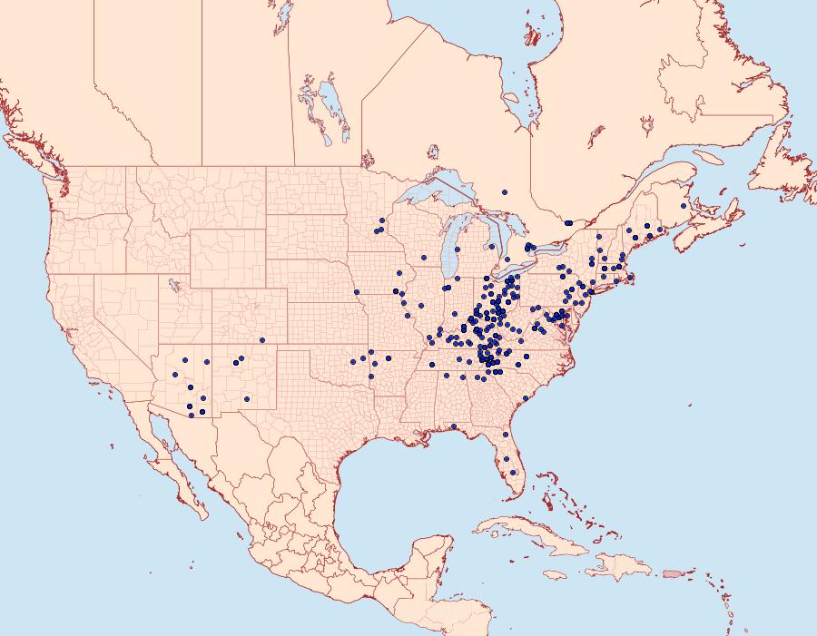 Distribution Data for Euparthenos nubilis