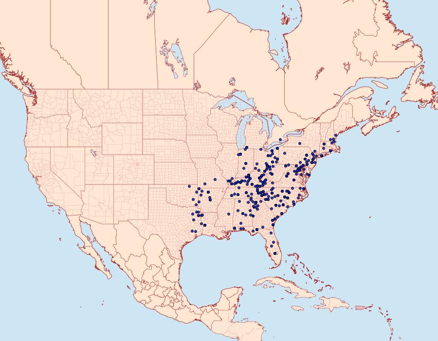 Distribution Data for Allotria elonympha