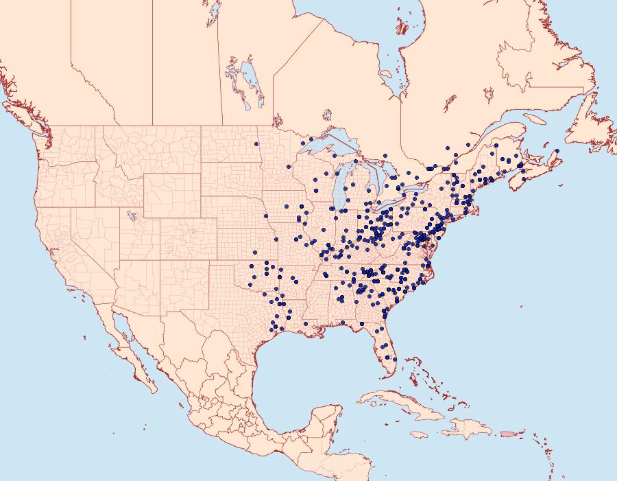 Distribution Data for Parallelia bistriaris