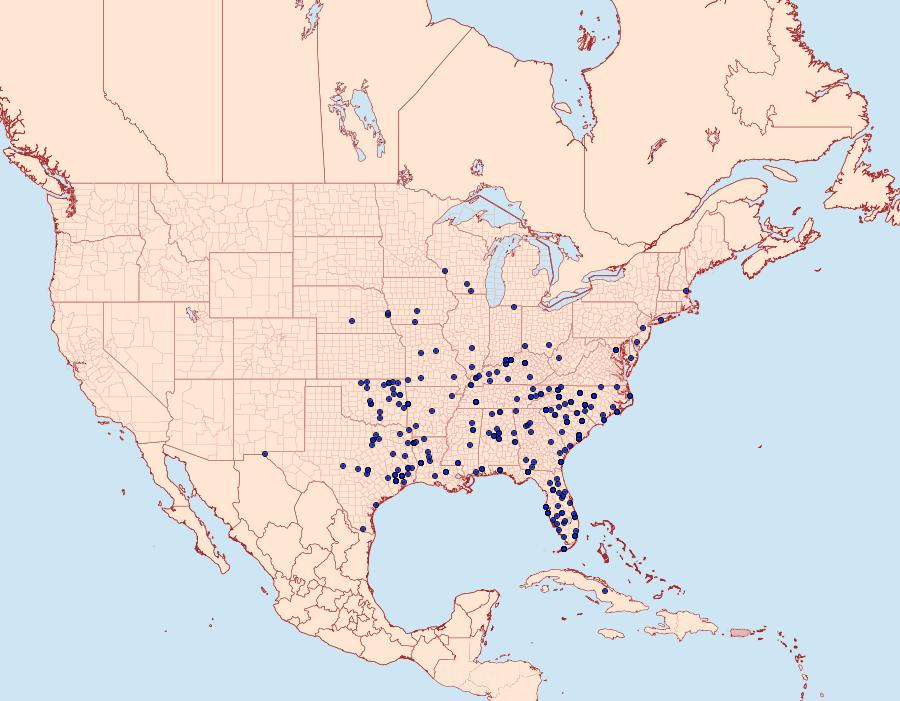 Distribution Data for Caenurgia chloropha