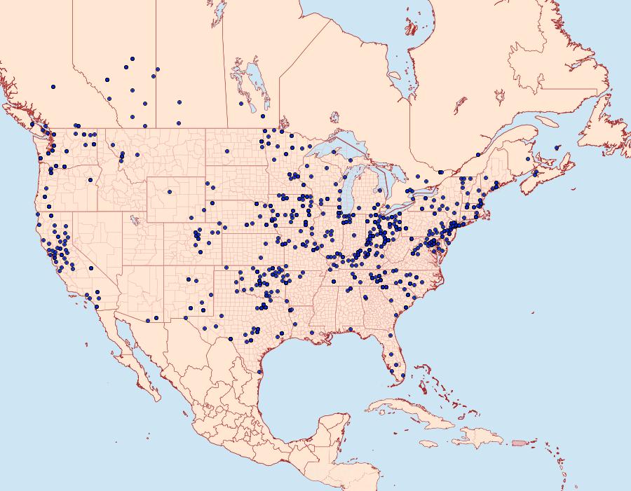 Distribution Data for Caenurgina erechtea