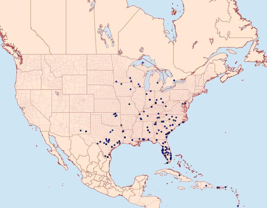 Distribution Data for Mocis latipes